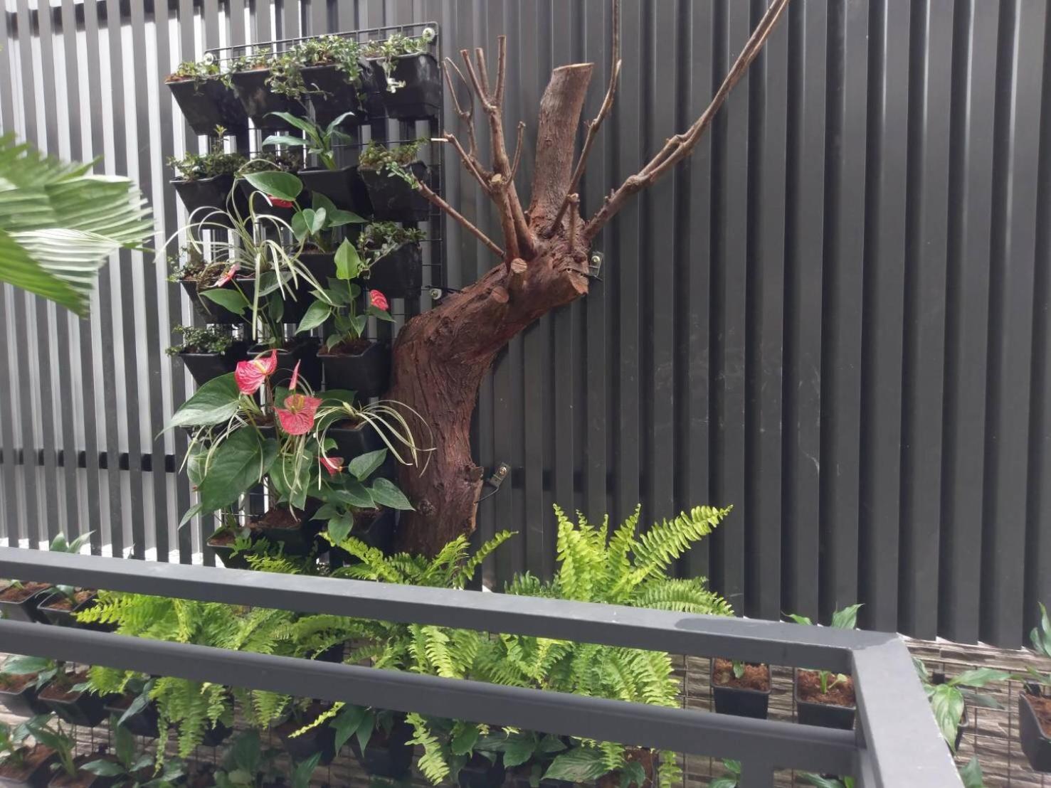 Yuan Places Taitung Екстериор снимка
